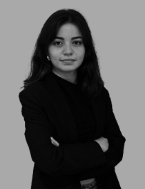 Sude Yılgın